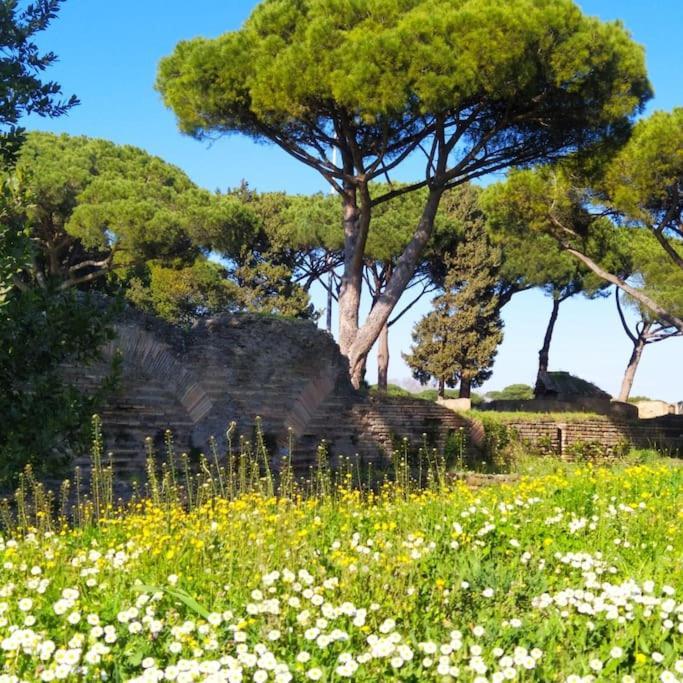 Per Antiqua Itinere Apartman Ostia Antica Kültér fotó